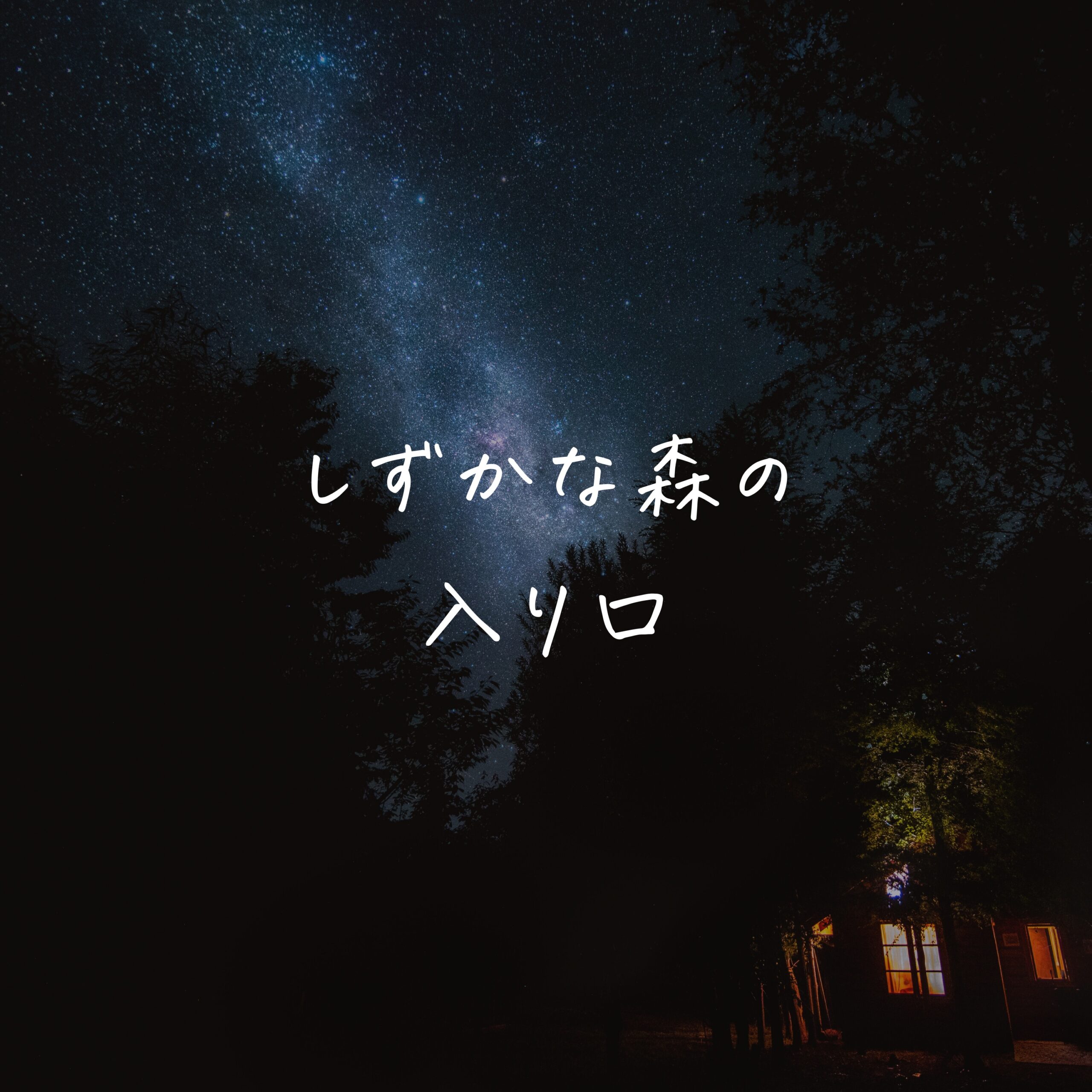 しずかな森の入り口