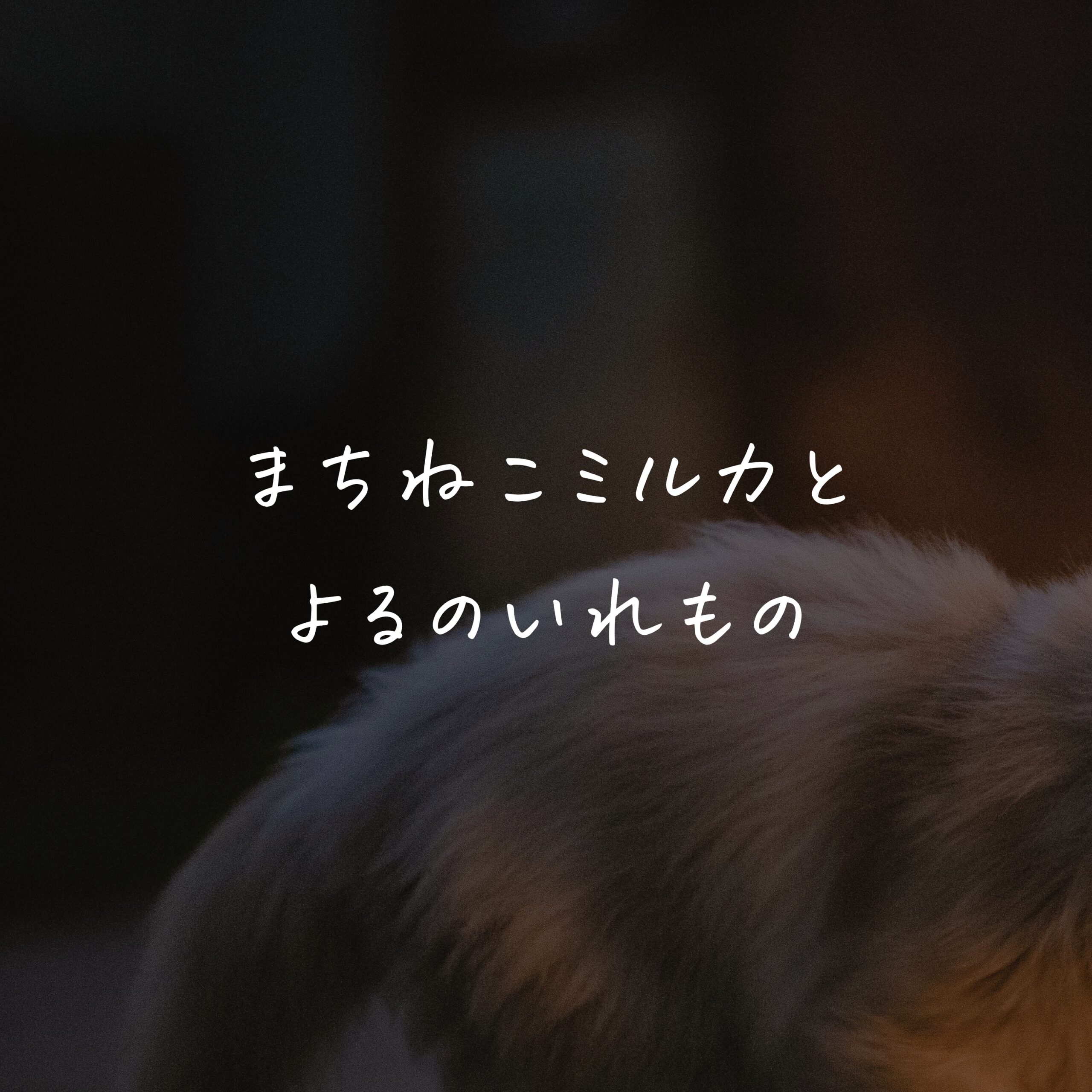 まちねこミルカと よるのいれもの